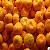 Egyptian Fresh Mandarins By Fruit Link