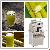 Vertical Sugarcane Juice Extractor