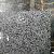 G439 China Granite Big Slabs