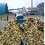 Bin Discharging Mobile Screw Conveyor