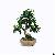 Artificial Ficus Microcarpa