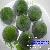 Frozen Lime From Viet Nam