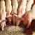 Animal Feed Machine Can Reduce The Cost Of Raising Pigs