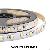 Supply 5-in-1 5050 Led Strip Light With Rgb Tunable White 60 / M 5m Reel