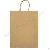 Kraft Paper Bag