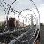 Elegant Barbed Wire Fence Uk