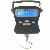 Metallic Body Digital Fishing Scales