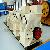 Joyal Pc Series Hammer Crusher With Capacity Varying From 3t / H To 350t / H