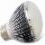 Dc 24v 5watts Led Bulbs