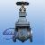 Jis Marine Cast Iron Gate Valve