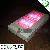 Lastest 55 3w Led Grow Light