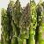 We Sell Asparagus Extract Powder For Export