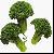 We Sell Broccoli Extract For Export